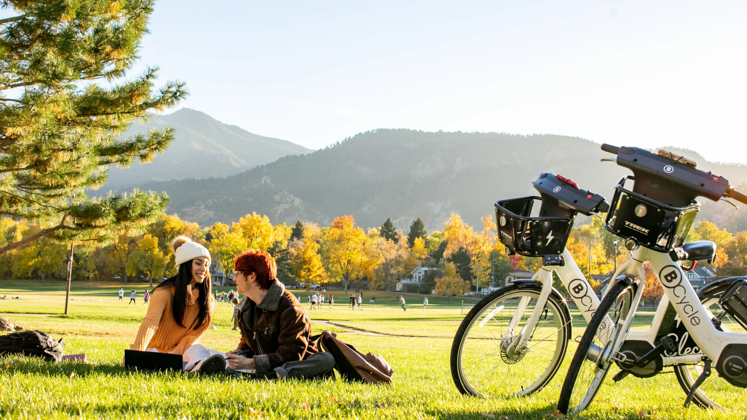 couple studying in the park with mountains in the background and bike share bicycles in the foreground