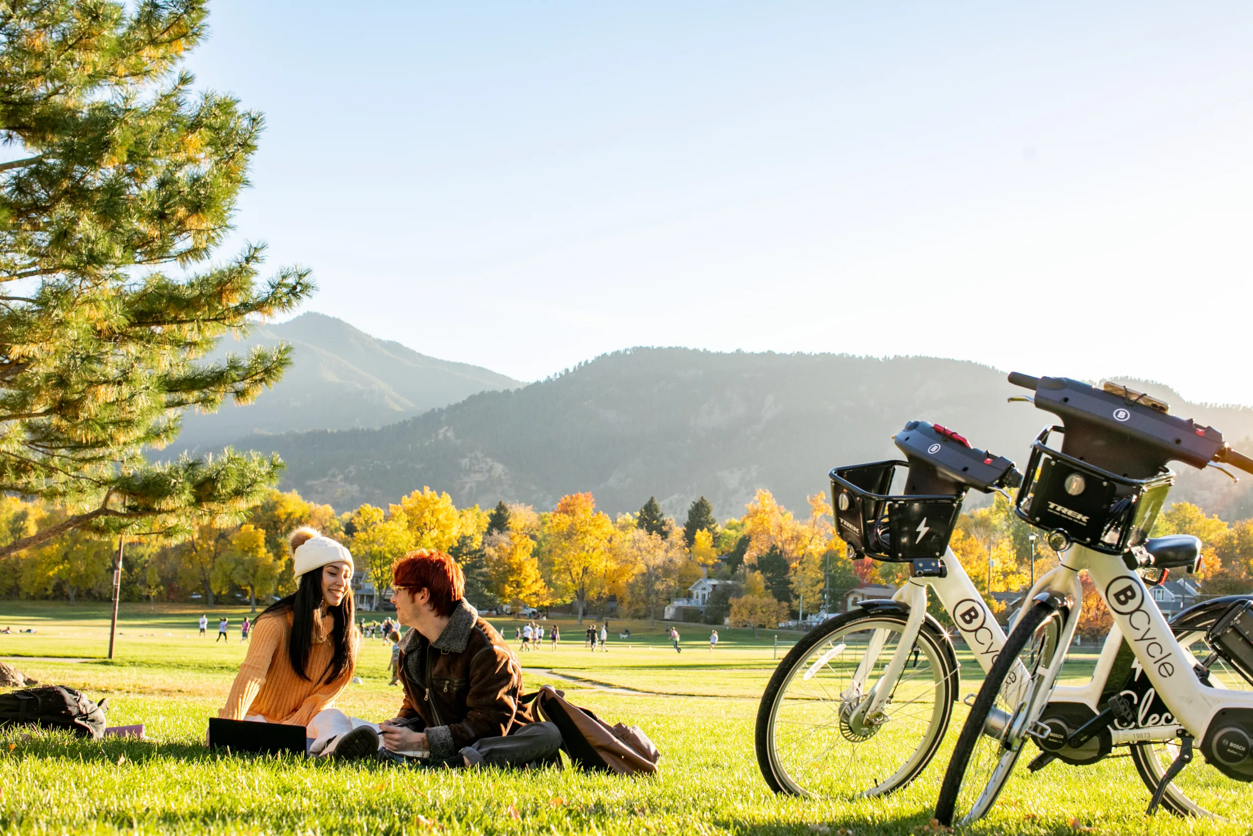 couple enjoying a picnic while studying while using bike share bicycles